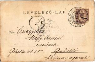 1900 Kutyák / dogs, photo (gyűrődések / creases)