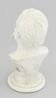 Deák Ferenc büszt. Biszkvit porcelán, jelzés nélkül, alján kis pattanással, m: 20,5 cm
