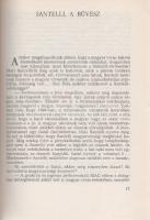 Bay Béla - L. Réti Anna:
Páston és páston kívül. (Dedikált.)
Budapest, 1979. Sportpropaganda (Nyír...