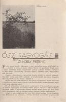 Tükör. Képes havi folyóirat. Felelős szerkesztő: Révay József. I. évfolyam, 1. szám. 1933. november....