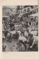 Tükör. Képes havi folyóirat. Felelős szerkesztő: Révay József. I. évfolyam, 1. szám. 1933. november....