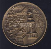 DN "Sopron" Br emlékérem T:2