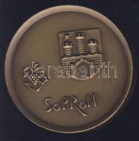 DN "Sopron" Br emlékérem T:2