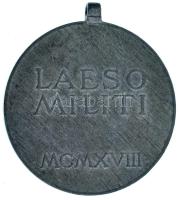 1918. "Sebesültek Érme" Zn kitüntetés mellszalag és függesztőkarika nélkül. Szign.: R. Pla...