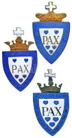 DN "PAX" zománcozott iskola jelvény (3x) mindhárom rögzítőpántokkal, az egyik árvalányhaj tartóval (~34x58mm) T:AU