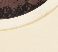 Amerigo Tot (1909-1985): Női aktok, 1983. Szitanyomat, papír. Jelzett. Üvegezett fakeretben. d: 30 c...