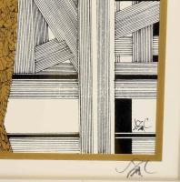 Szász Endre (1926-2003): Hölgy portré. Szitanyomat, papír, jelzett, számozott (68/100), üvegezett fa...