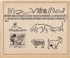 Bátki József:
,,Élő vonalak". A vonalak mozgása és kifejezése.
Salgótarján, 1939. (Szerző - S...