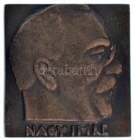 1989. &quot;Nagy Imre&quot; egyoldalas, öntött bronz plakett, hátoldalán &quot;1958. június 16. 1989&quot; gravírozással, Nagy Imre újratemetésének emlékére, eredeti tokban (70x66mm) T:XF