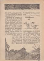 Riadó! Kiadja a Légoltalmi Liga. A kiadásért és a szerkesztésért felel: Nagyrévi-Neppel György. Megj...