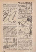 Riadó! Kiadja a Légoltalmi Liga. A kiadásért és a szerkesztésért felel: Nagyrévi-Neppel György. Megj...