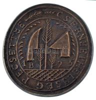 DN "Csernyei helység pecséttye - 1825" egyoldalas bronz emlékérem (~70mm) T:AU