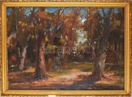 Metykó Gyula (1907-1992): Erdőrészlet. Olaj, vászon. Jelezve jobbra lent. Dekoratív, sérült fakeretben. 70×100 cm. KIZÁRÓLAG SZEMÉLYES ÁTVÉTEL, NEM POSTÁZZUK! / ONLY PERSONAL COLLECTION AT OUR OFFICE!