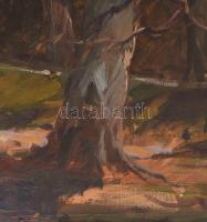 Metykó Gyula (1907-1992): Erdőrészlet. Olaj, vászon. Jelezve jobbra lent. Dekoratív, sérült fakeretb...