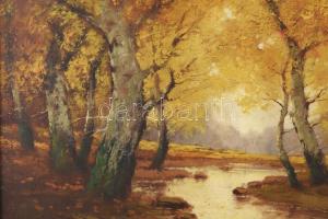 Szentgály Ferencz (?-?): Erdő. Olaj, vászon, jelzett. Dekoratív fakeretben. 60×80 cm