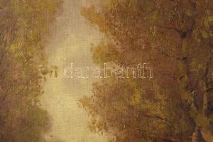 Szentgály Ferencz (?-?): Repülő vadkacsa. Olaj, vászon, jelzett. Dekoratív, kissé sérült fakeretben....