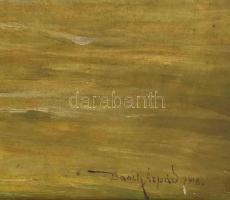 Basch Árpád (1873-1944): Viharos vízpart (Duna?), 1918. Olaj, vászon, jelezve jobbra lent. Hátoldalá...