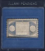 1981. "Naptár" Ag plakett 4,7g T:PP Eredeti ÁPV tokban!