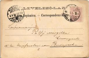 1899 (Vorläufer) Eszék, Essegg, Osijek; Oberstadt, Comitatsgasse / Gornji grad, Zupanijska ulica / u...