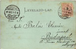 1898 (Vorläufer) Nagyvárad, Oradea; látkép a Nagyhídról, zsinagóga. Sonnenfeld A. kiadása / view fro...