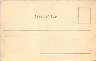 Pozsony, Pressburg, Bratislava; Hal tér, piac, vár, zsinagóga, üzletek. Divald Károly 501. sz. (EK)