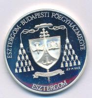 Fülöp Zoltán (1951-2004) "Esztergomi Bazilika / Esztergom-Budapesti Főegyházmegye" jelzett...