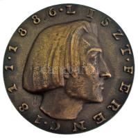 DN "Liszt Ferenc 1811-1886" kétoldalas bronz replika (73mm) T:XF