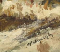Mednyánszky jelzéssel: Atmoszférikus táj. Olaj, vászon, javított. 81x101 cm. KIZÁRÓLAG SZEMÉLYES ÁTV...