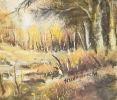 Mednyánszky jelzéssel: Erdei táj. Olaj, karton, üvegezett fakeretben. 40x30 cm