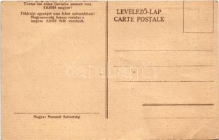 Földrajzi egységet nem lehet szétszakítani! Magyarország összes vízi utai a magyar Alföld felé vezet...