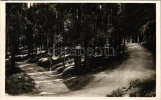 1942 Borszék, Borsec; Szerelmesek sétánya. Heiter György fényképész eredeti felvétele / lovers&#039; promenade