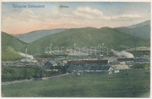 Csimpa, Cimpa; Fűrésztelep. Adler fényirda 1912 / sawmill (EK)