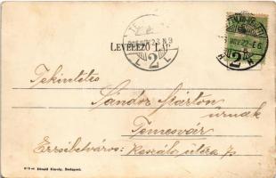 1906 Szatmárnémeti, Satu Mare; Kossuth kerti tó, csónakázók. Divald Károly 816. / lake in the park (...