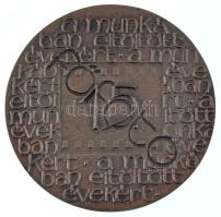 Ligeti Erika (1934-2004) DN "Főfotó - Munkában eltöltött évekért - 15" kétoldalas, öntött ...