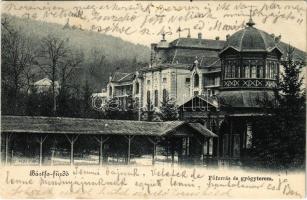 Bártfa-fürdő, Bardejovské Kúpele, Bardiov; Főforrás és gyógyterem. Salgó Mór kiadása / spring and spa
