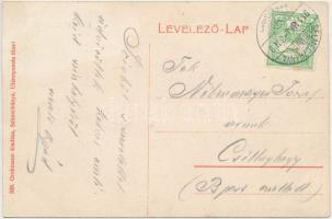 1911 Selmecbánya, Schemnitz, Banská Stiavnica; Erdészeti főiskola. Grohmann kiadása / forestry acade...