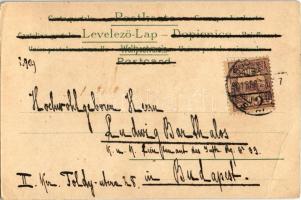 1901 Art Nouveau lady. Serie 101. litho (EB)