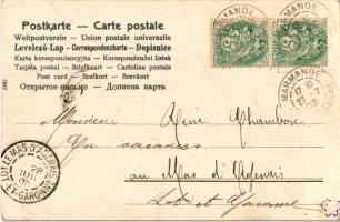 1903 Art Nouveau lady, floral. litho (EK)