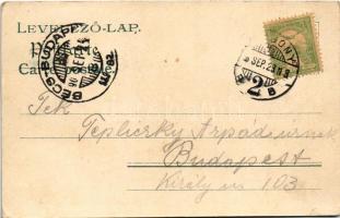 1903 Pozsony, Pressburg, Bratislava; Sétatér. Heliocolorkarte von Ottmar Zieher / promenade