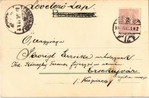 1899 (Vorläufer) Art Nouveau lady, floral, litho (EK)