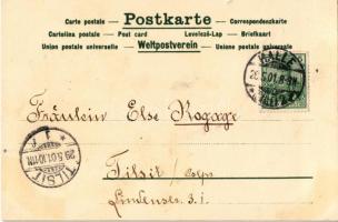 1901 Art Nouveau lady, floral. A. Sockl Wien litho (fl)