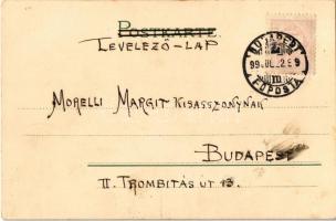 1899 (Vorläufer) Art Nouveau lady, floral. Kunstverlag Emil Dotzert litho (fl)