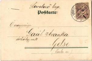 1900 Art Nouveau lady, floral. Kunstverlag Emil Dotzert litho (kopott sarkak / worn corners)