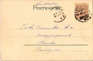 1899 (Vorläufer) Art Nouveau lady, floral. Verlag Carl Baum Serie No. 272. litho (EM)