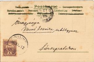 1901 Art Nouveau lady, floral. Lith. Druck u. Verlag v. Otto W. Hoffmann litho (fl)