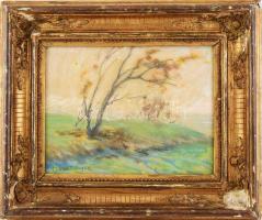 Miklósi-Mutschenbacher Ödön (1881-1942): Viharos táj, 1924. Pasztell, papír, jelzett. Dekoratív, sérült, üvegezett fakeretben, 23×29 cm