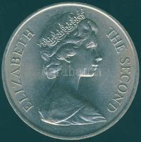 Man-sziget 1970. 1C "Manx macska" T:BU