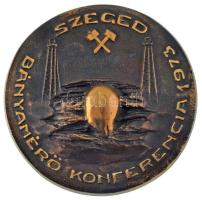 1973. "Szeged Bányamérő Konferencia 1973" egyoldalas bronz emlékérem (90mm) T:AU