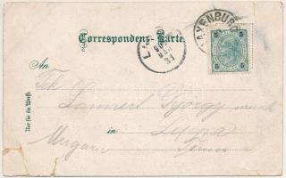 1902 Laxenburg, K.k. Lustschloss Franzensburg / castle (tears)