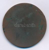 Jugoszlávia DN "Jugoszláviai Autómotor Szövetség - Off-road bajnokság" egyoldalas bronz em...